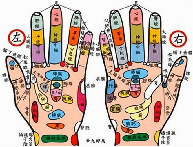 右手掌经络图解及作用图片